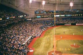 Tampa, FL : Devil Rays