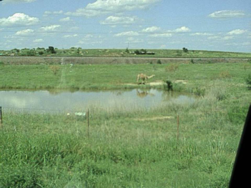 Wichita Falls, TX : Outskirts of town