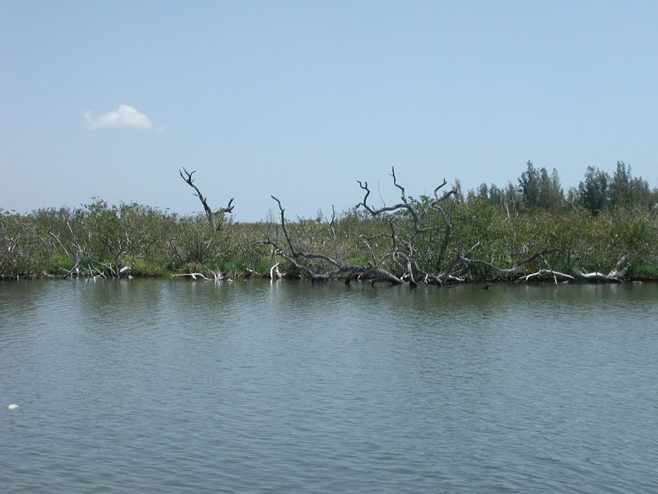 Cocoa Beach, FL : one of many smallislands along the Banana River in Cocoa Beach