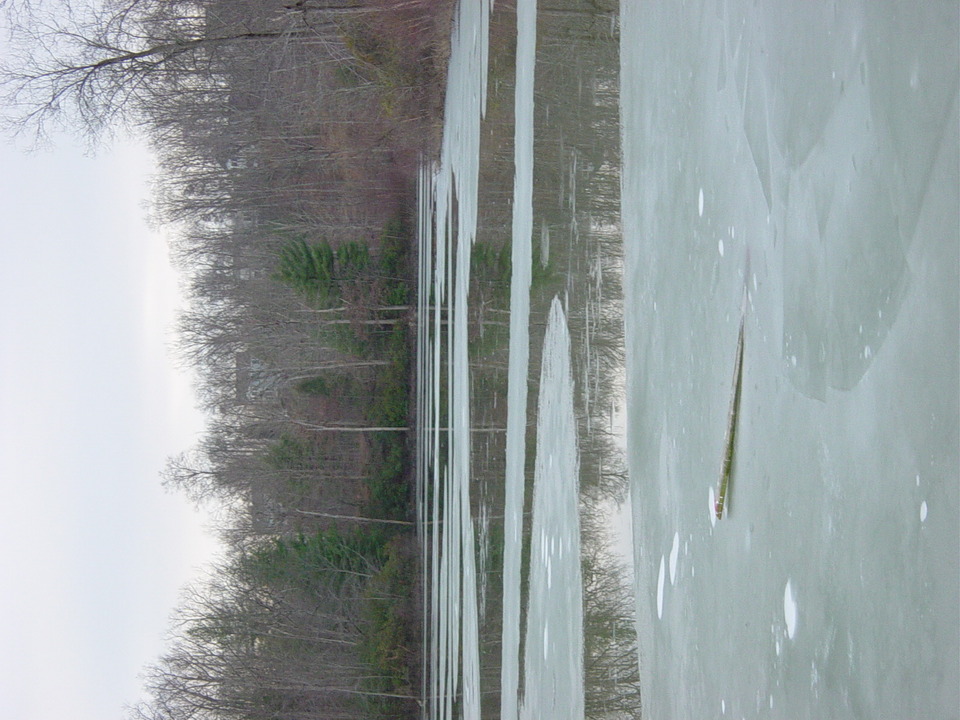 Lake Ridge, VA : Q.R. in Lake Ridge