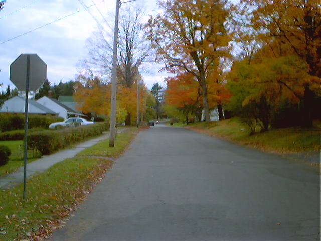 Wellsville, NY : Wellsville in the fall
