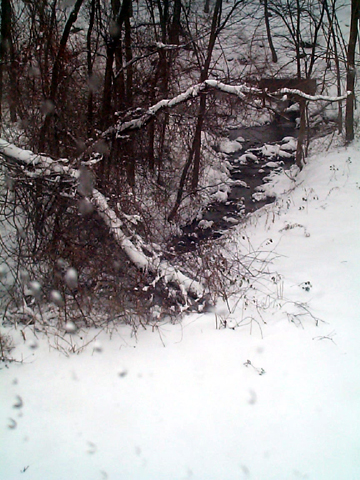 Derby, CT: First snow of the winter season stream in our back yard