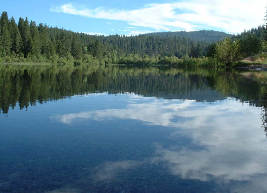 Arnold, CA: White Pines Lake (public lake in Arnold)