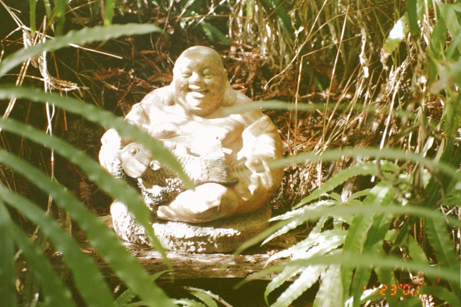 Santa Cruz, CA: The Pogonip Budda
