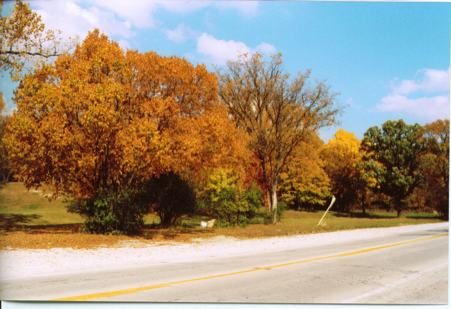 Willow Springs Il Fall 03 Photo Picture Image Illinois At City