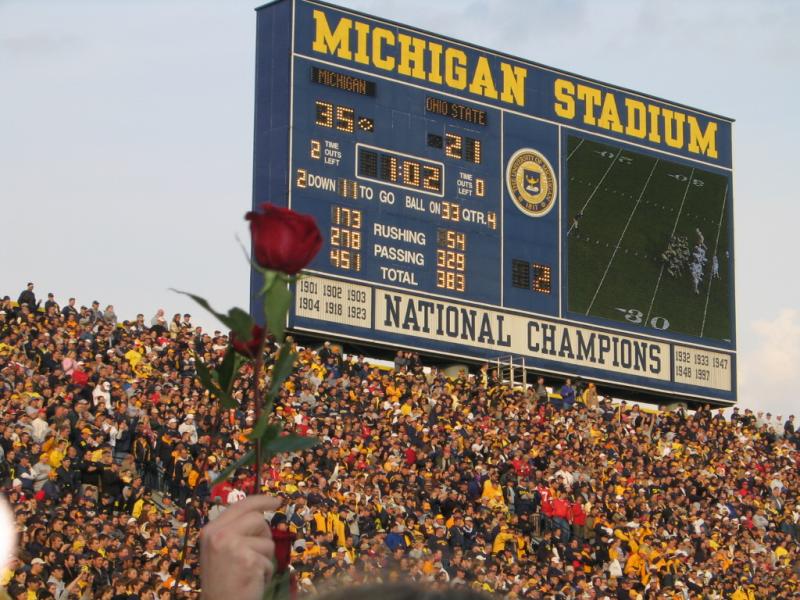 Ann Arbor, MI : The Big House