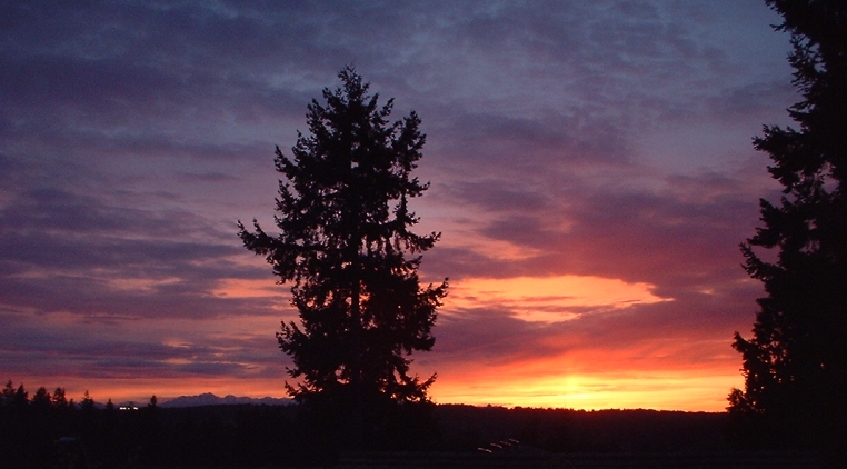 Kenmore, WA: Sunset Looking West