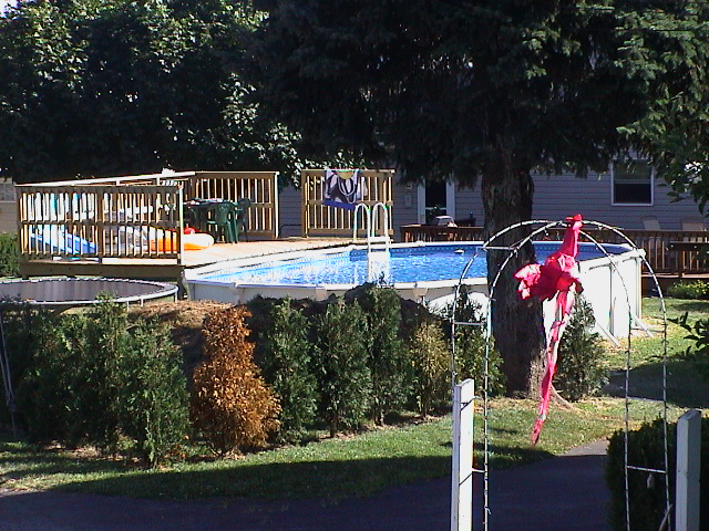 Northampton, PA: close to main str. 2496 a neighbours pool July 2002