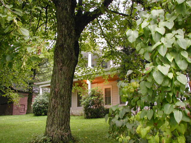 Delhi, NY : One of Delhi's oldest homes, 1845.