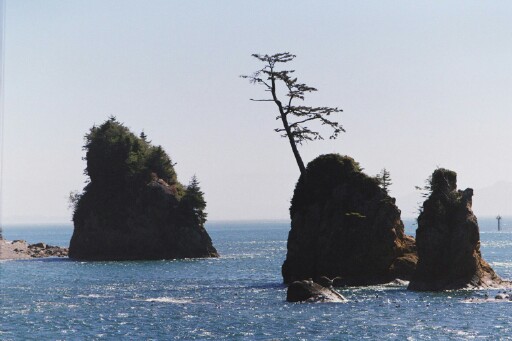 Garibaldi, OR : Girabaldi bay Scene