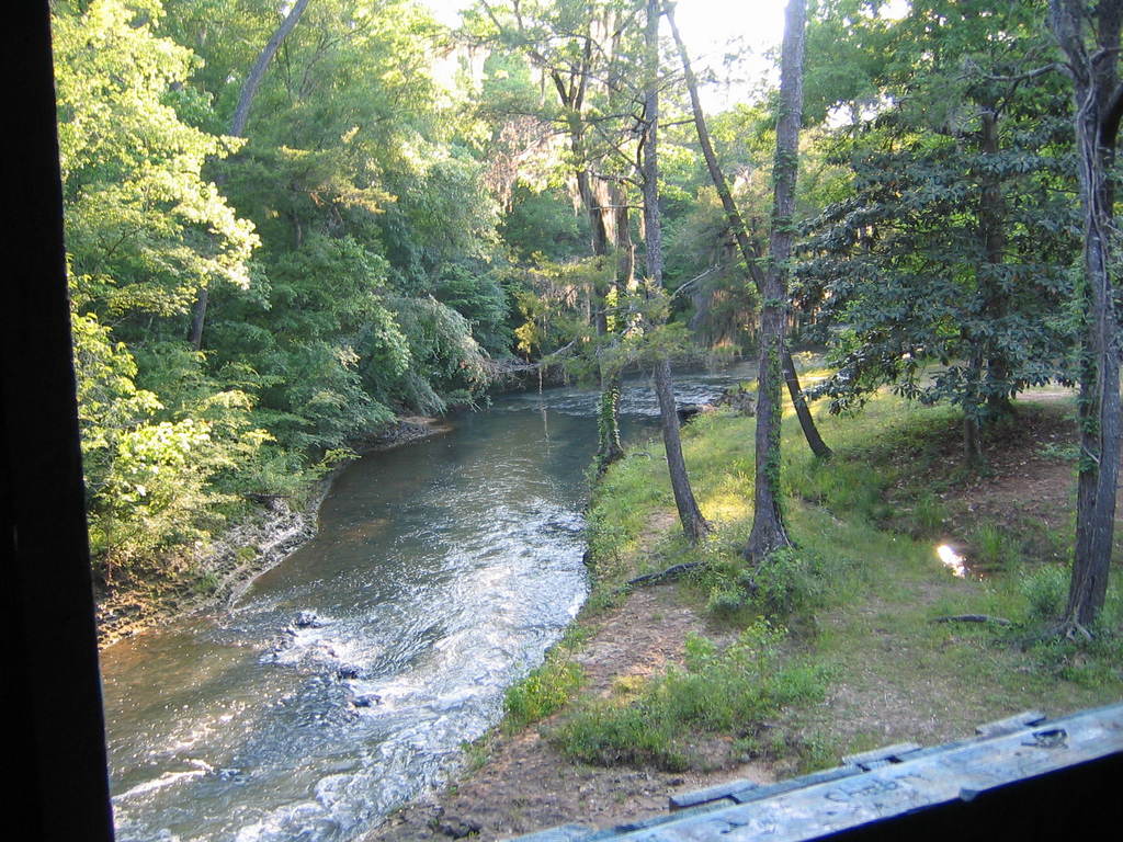 Blakely, GA: Coheelee Creek near Blakey, GA