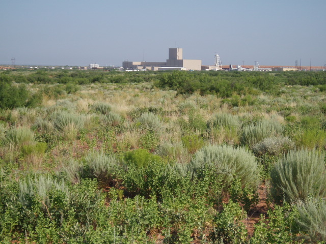 Carlsbad, NM : View of the