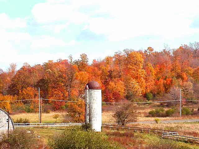 Hamptonburgh, NY : A Single Silo Survinging (so Far) the vast development of elaborate homes