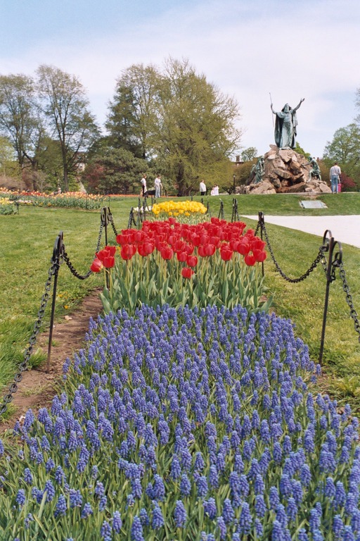Albany, NY: Tulip Fest in Washington Park