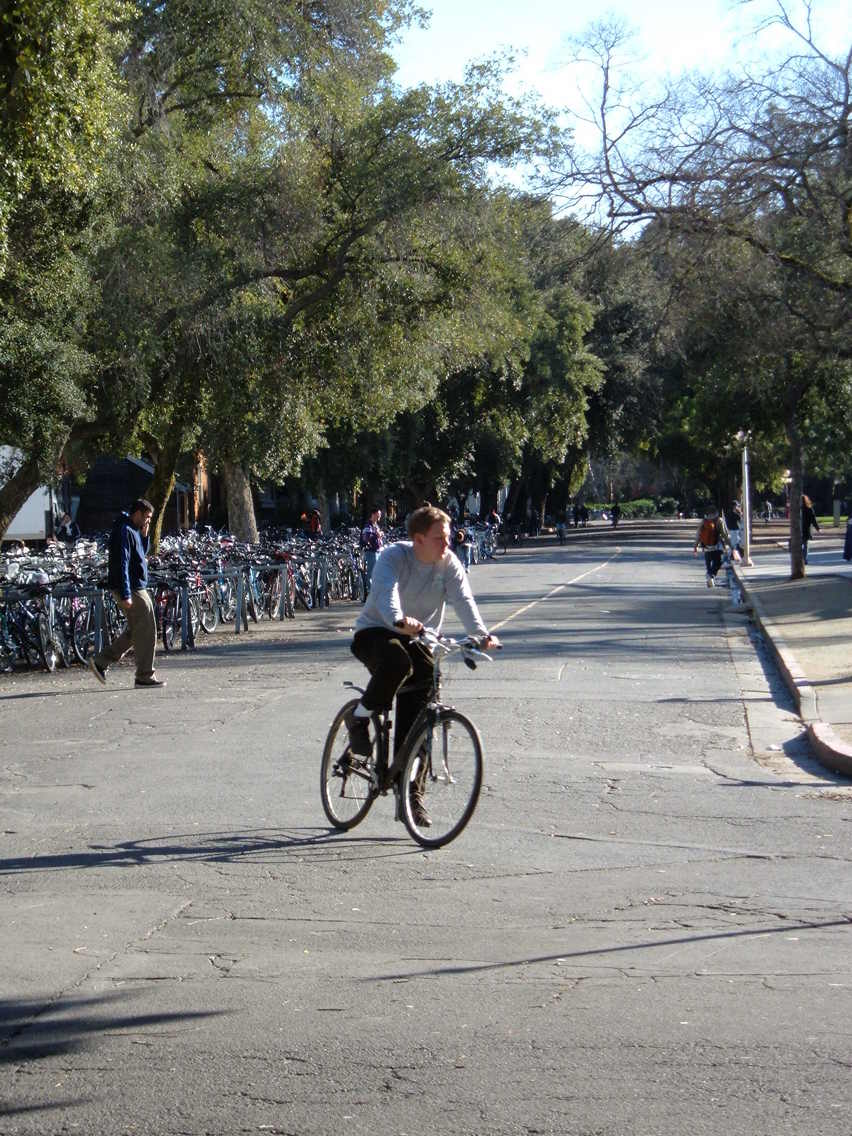 Davis, CA : bikes