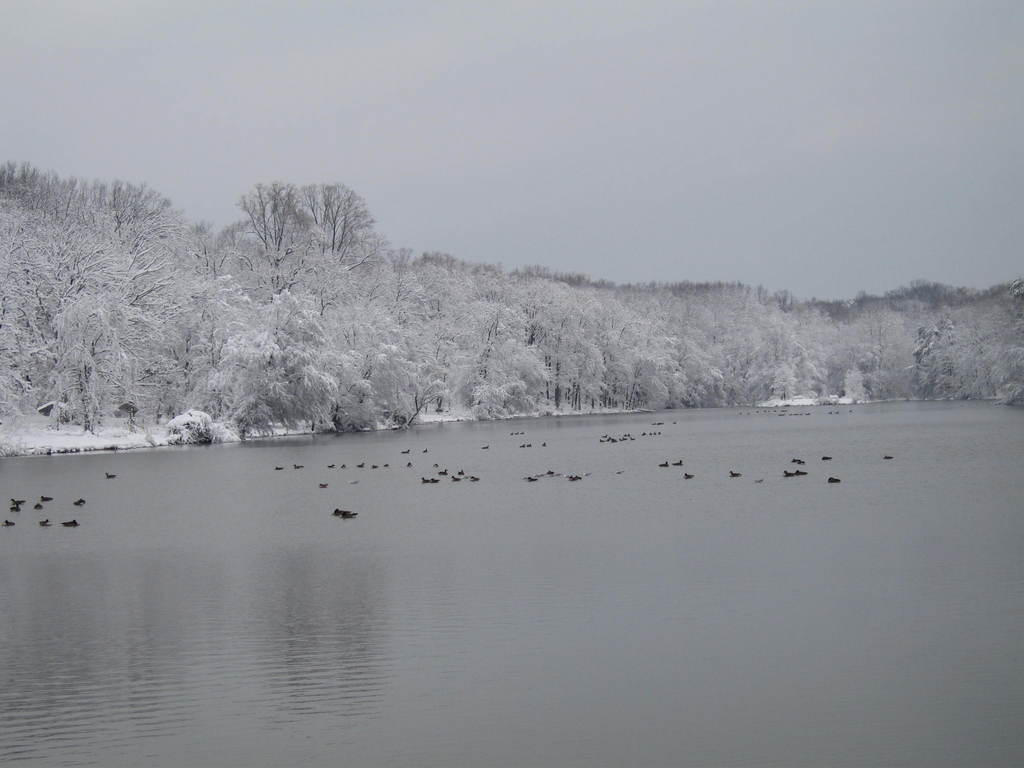 Greenbelt, MD: Greenbelt Lake after 2006 Feb snow storm-1