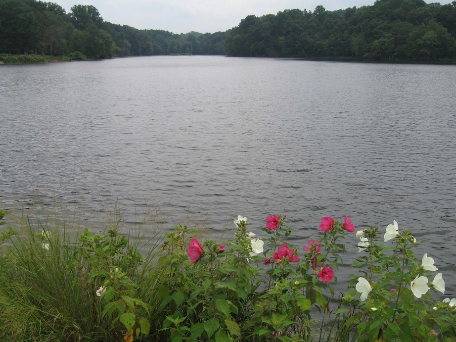 Greenbelt, MD: Greenbelt lake during spring