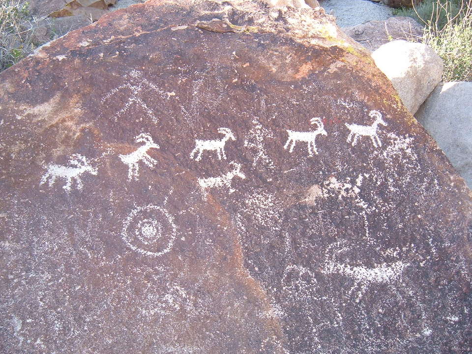 Laughlin, NV: Petroglyphs at Grapevine Canyon near Laughlin,NV