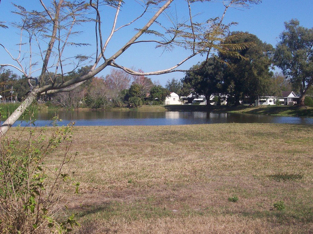 Holiday, FL : My beautiful backyard, you never know whats hidden