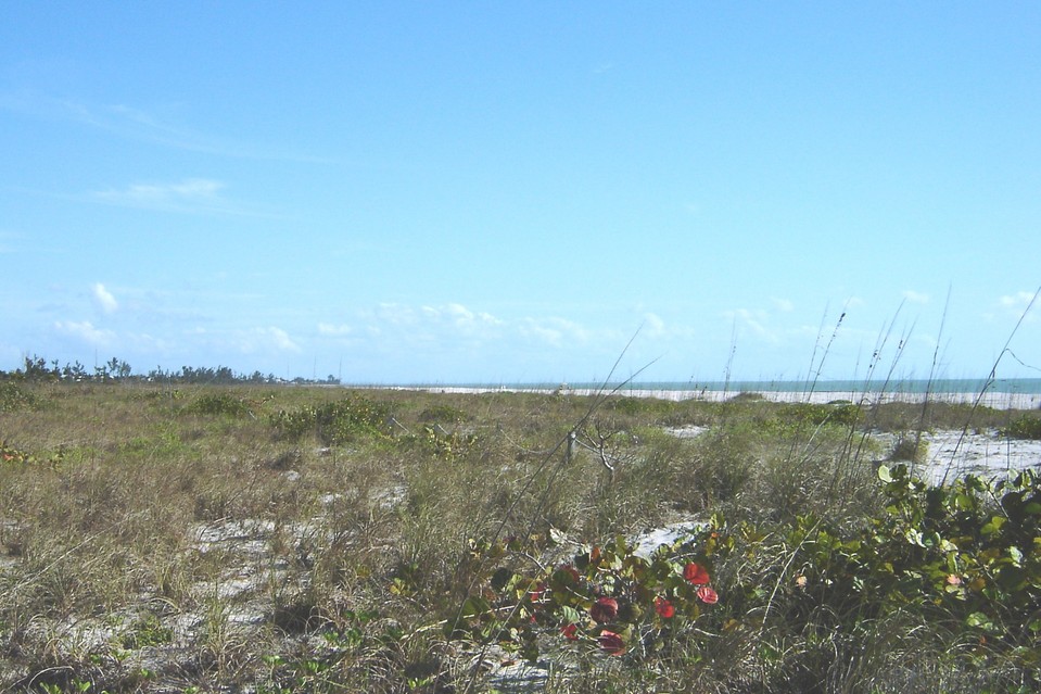 Sanibel, FL : Bowman's Beach, Sanibel Island