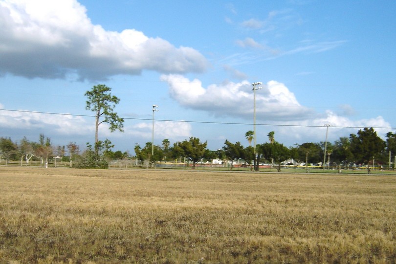 Cape Coral, FL : park off Skyline