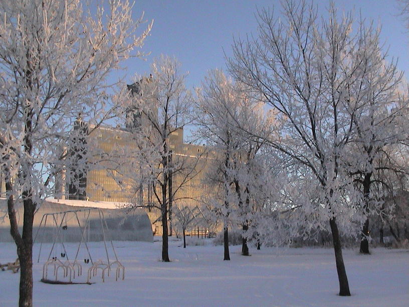 Gibbon, MN Gibbon, MN Old Settlers' Grove. photo, picture, image