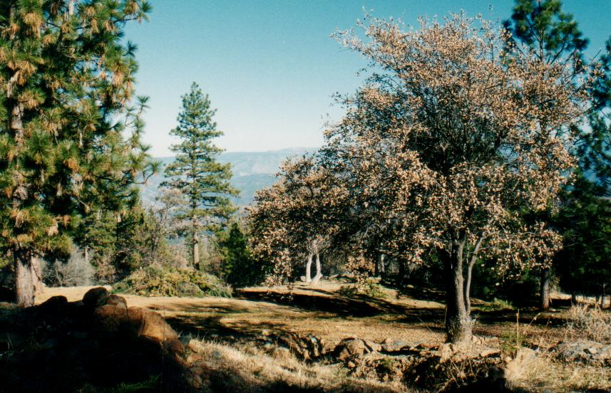 Mariposa, CA : Mount Bullion in Mariposa, California