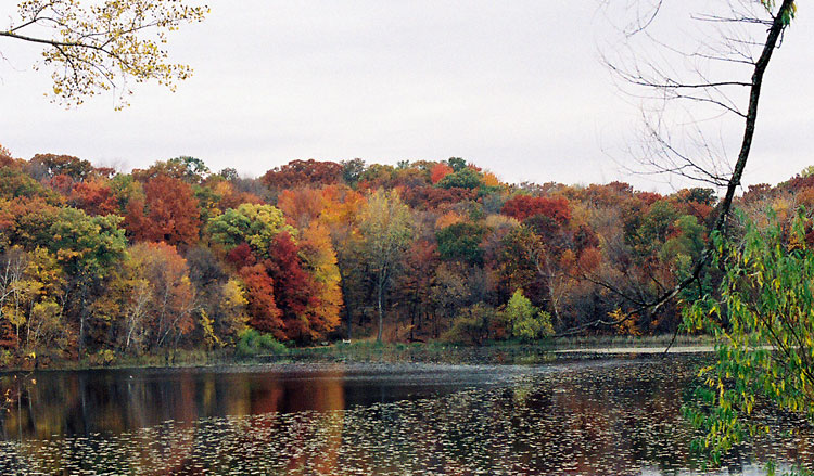 Minnetonka, MN: reflective thoughts on a small lake at a park in Minnetonka, MN