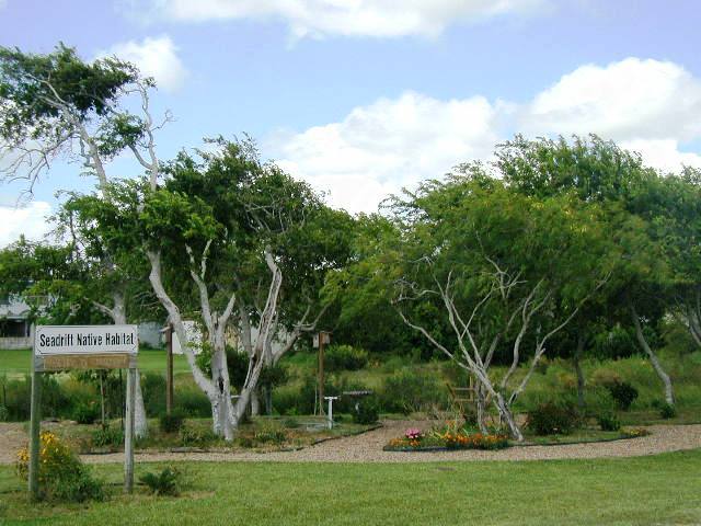 Seadrift, TX : Seadrift Nature Habitat