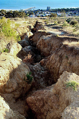 San Buenaventura (Ventura), CA : Cracks On A Hill