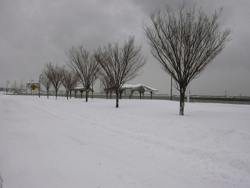 Boston, MA : Tenean Beach Neponset - Storm 2003