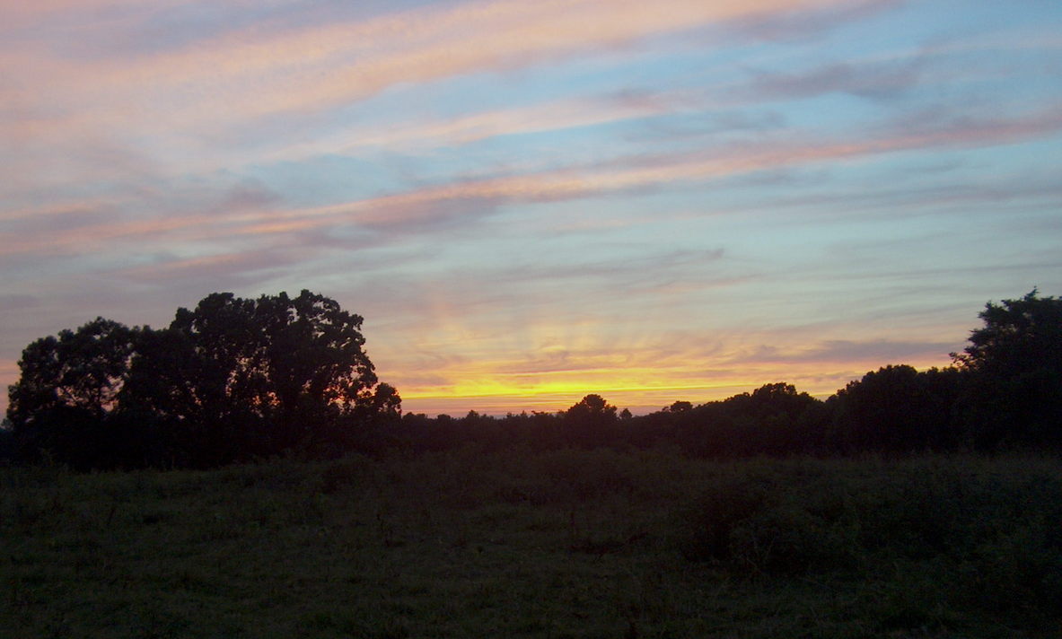 Paris, TN: Sunset at the farm on Midway Road
