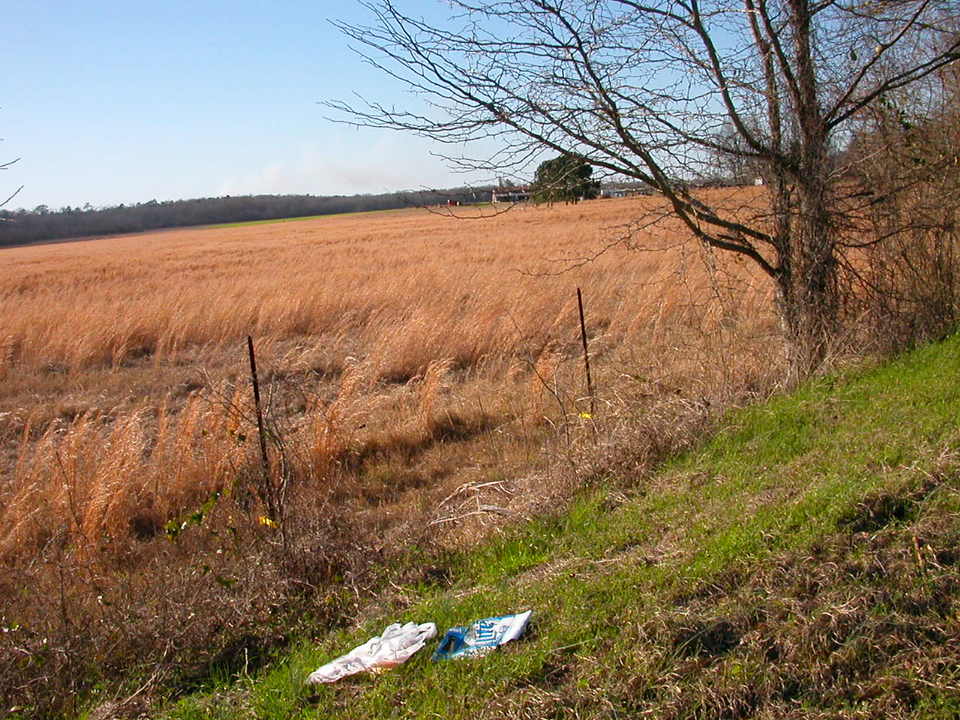 West Monroe, LA : Autumn Field