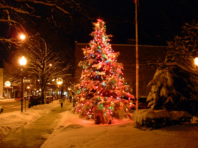 Glens Falls North, NY City of Glens Falls Christmas Tree photo