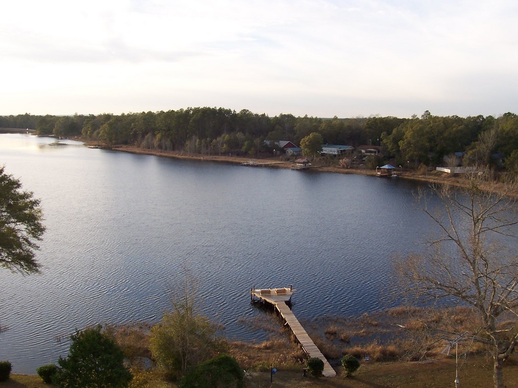 Bonifay, FL Birds Eye View of Dogwood Lakes in Bonifay, Fl. photo
