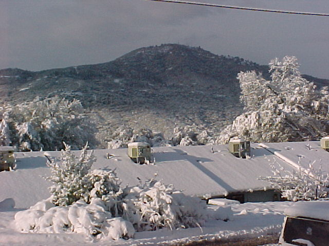 Oakhurst, CA : after the late snow 2006