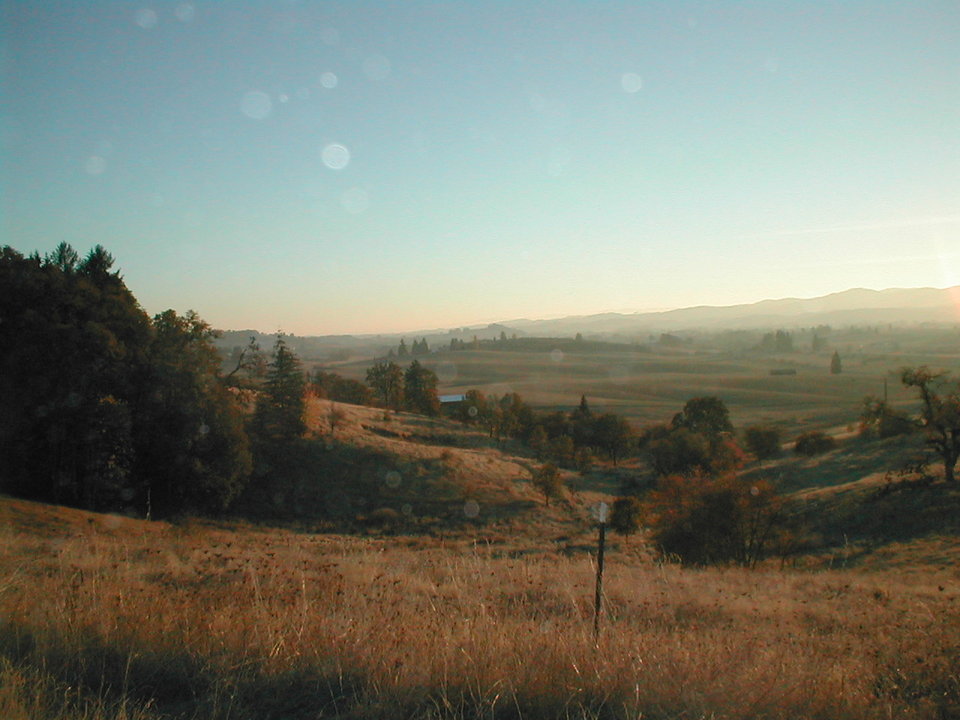 Yamhill, OR Fall view of the valley just north of Yamhill photo