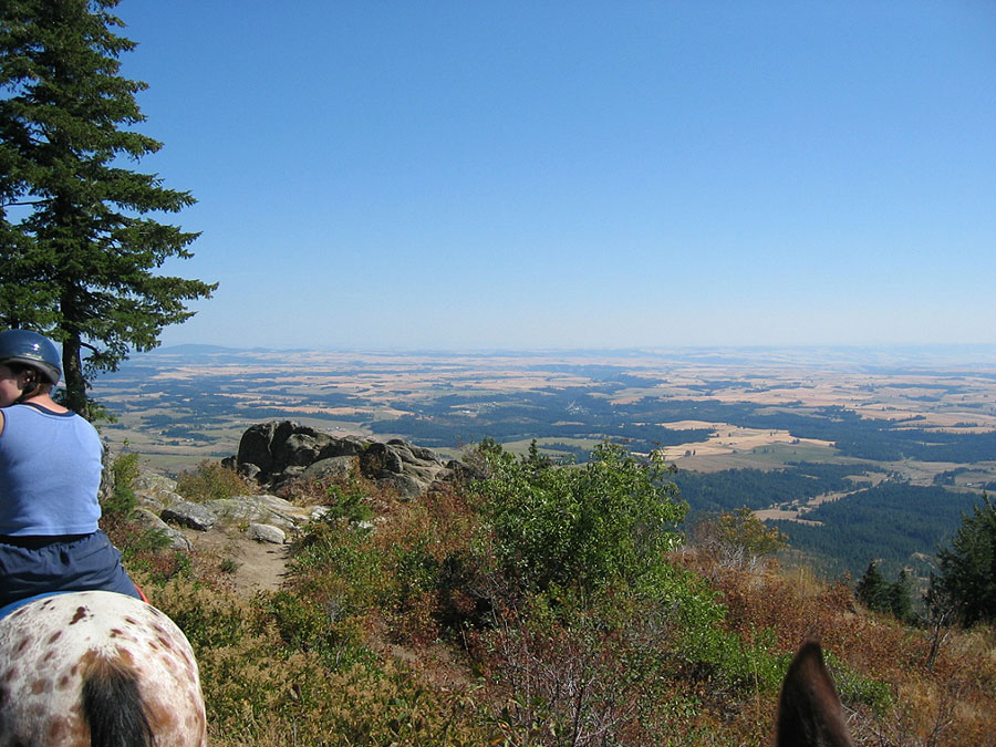 Moscow, ID: View from the Top of Moscow Mountain looking Southeast.