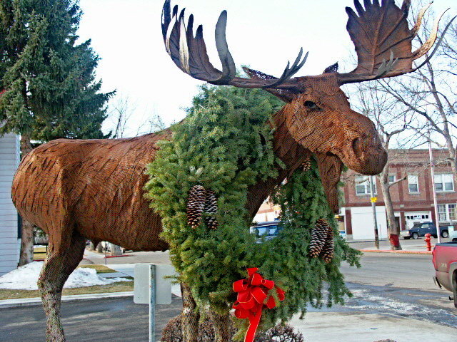 Dillon, MT: moose in front of statebank and dillon post office
