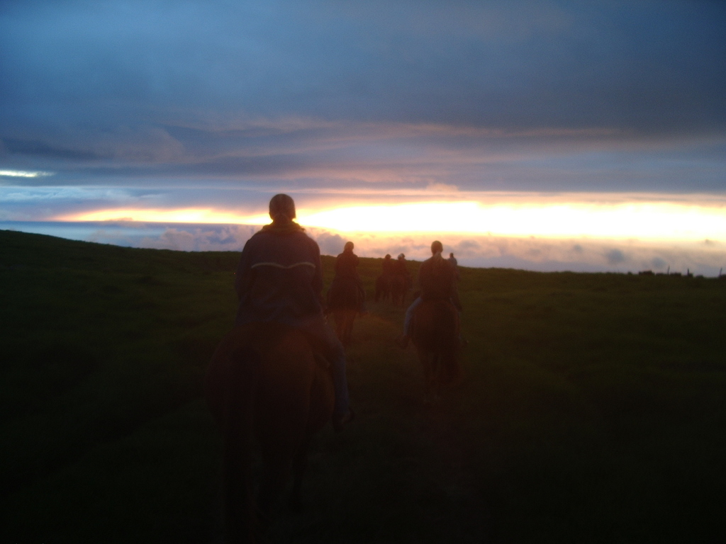 Waipio, HI: Horsebacking riding in the backcoutry of Waipio