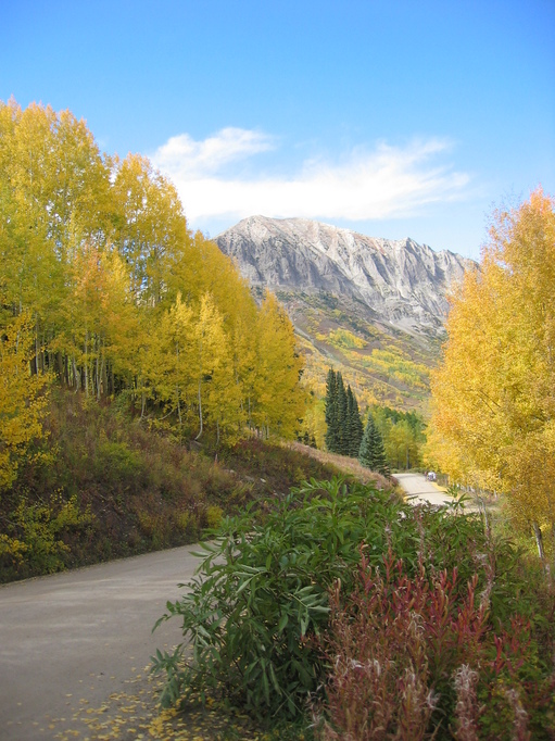 Crested Butte, CO : Mt. Bellview in Gothic area