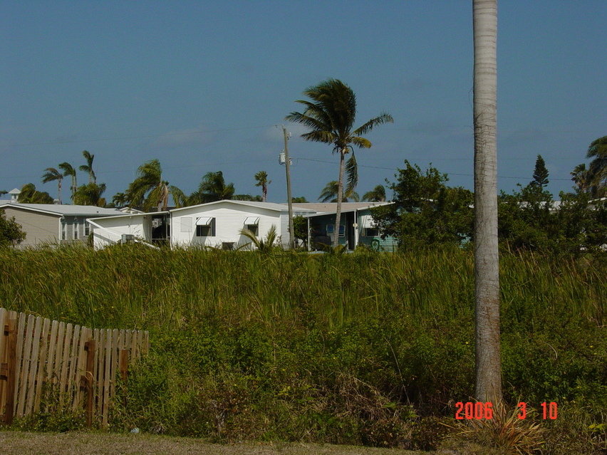Seminole Manor, FL : Lakefront view, Well? What was lakefront, now 12' tall sawgrass.