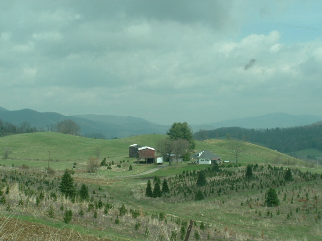 Mountain City, TN : Up near MillCreek Area