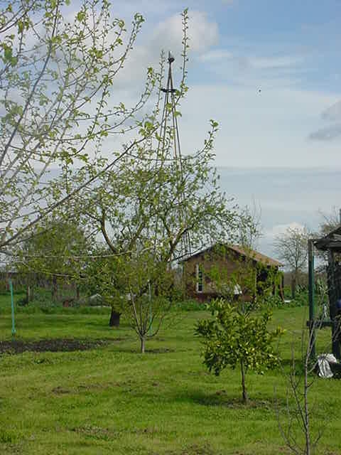 Walnut Grove, CA : Walnut Grove, CA
