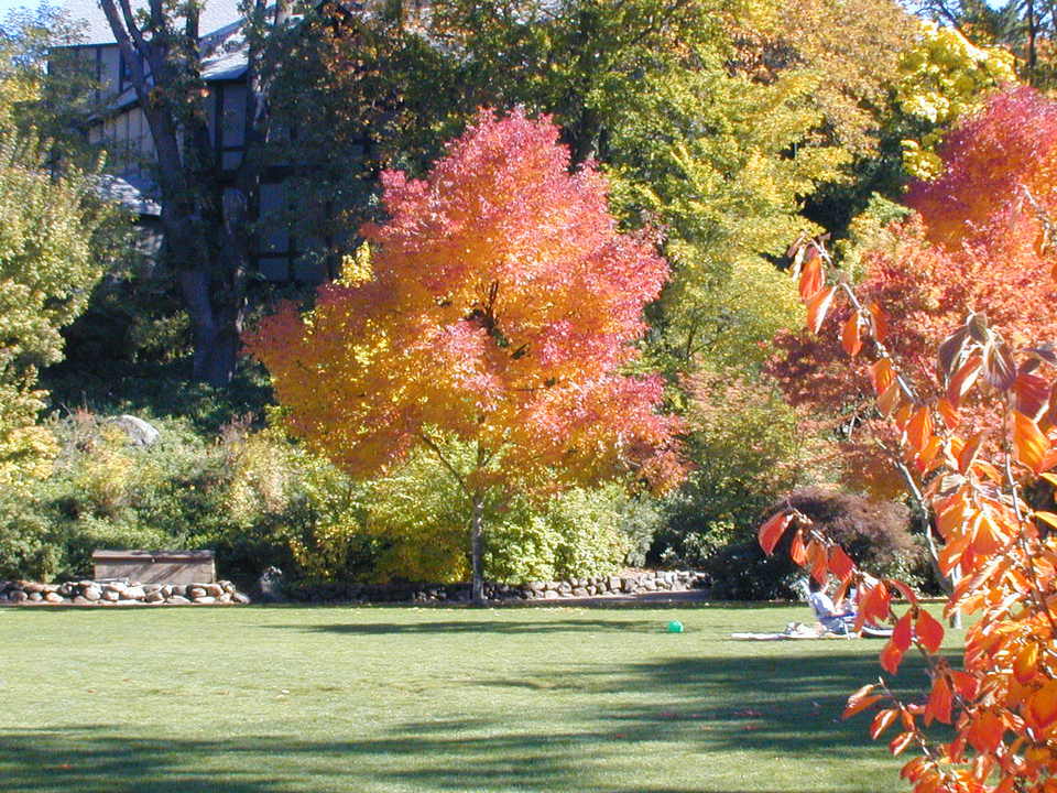 Ashland, OR : Fall foliage in Lithia Park
