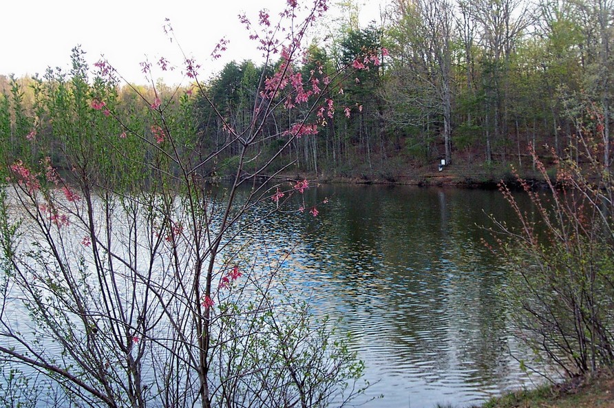 Gastonia, NC: Crowdwe's Mountain Fishing Lake/Spring 2006