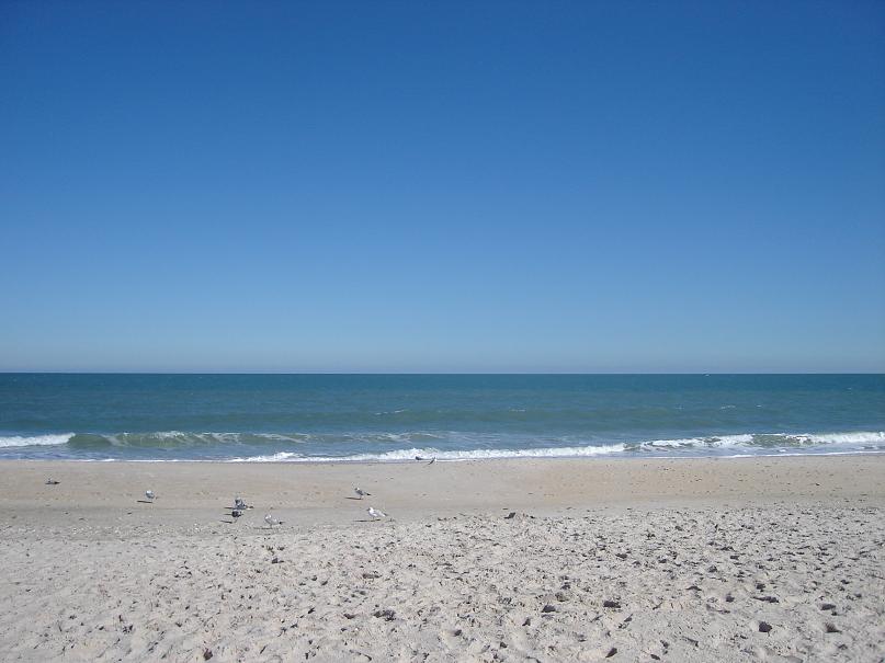 Vero Beach South, FL: Vero beach Shore