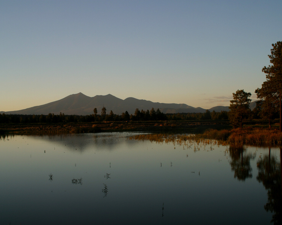 Flagstaff, AZ : San Francisco Peaks