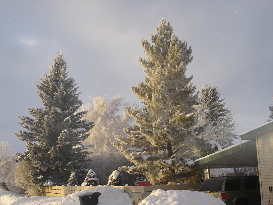 Grace, ID Winter in Grace, ID photo, picture, image (Idaho) at city