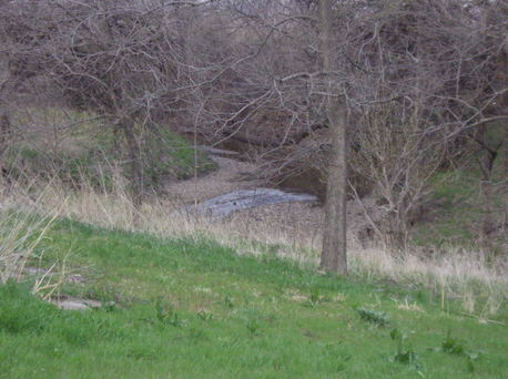 Paxico, KS : Spring Creek - Paxico, KS - Early April 2006